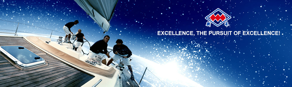 Strive for excellence